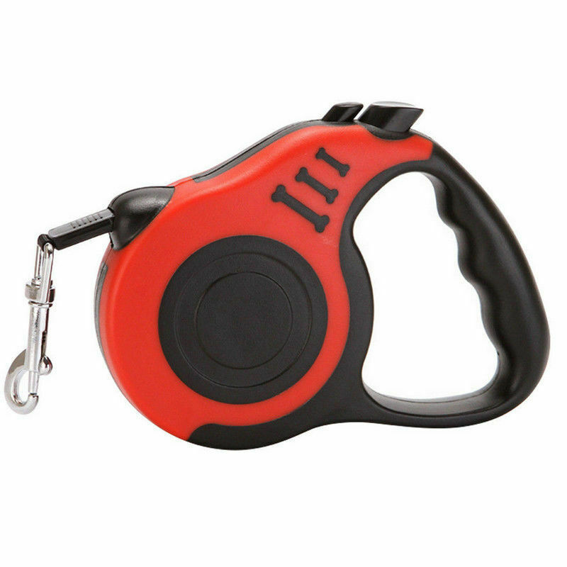 Laisse rétractable automatique pour chien