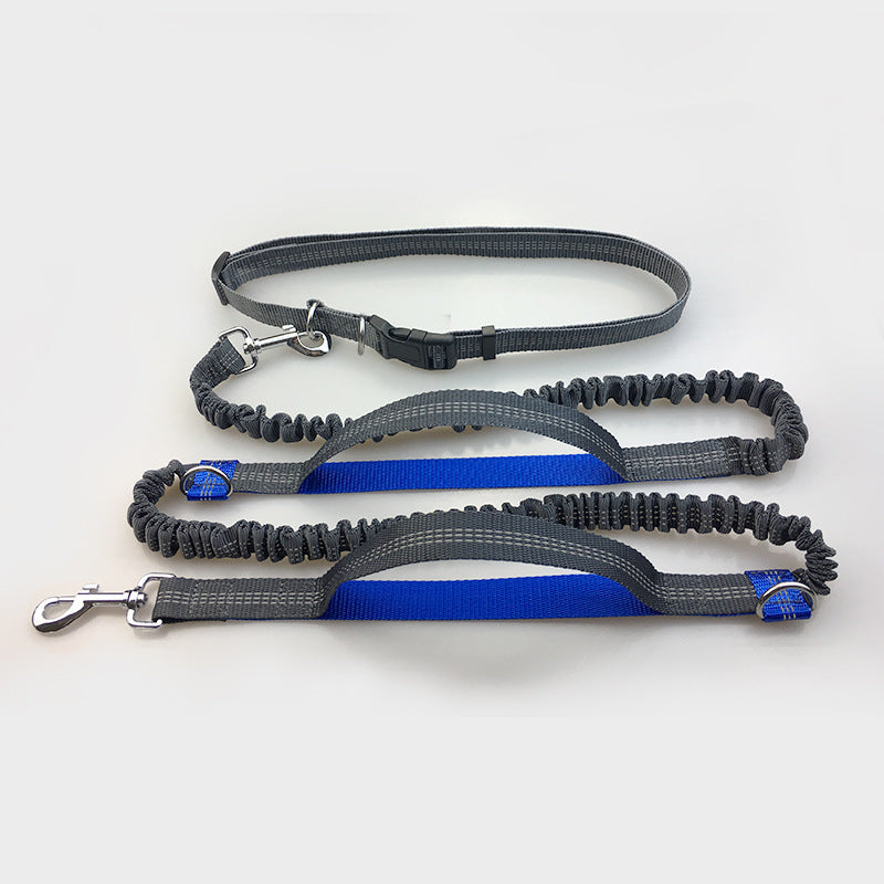 Laisse multifonction pour chien double élastique