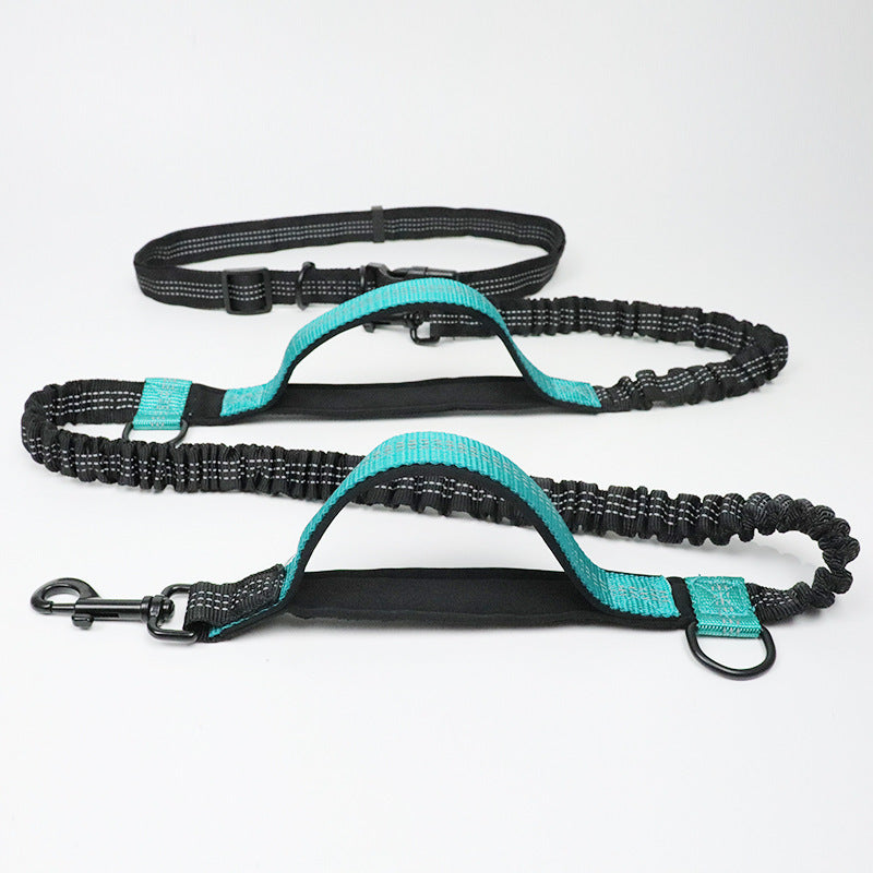Laisse multifonction pour chien double élastique