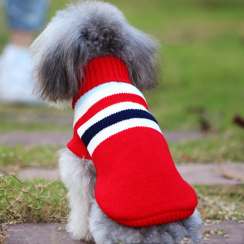 Hundebekleidung kleiner Hund
