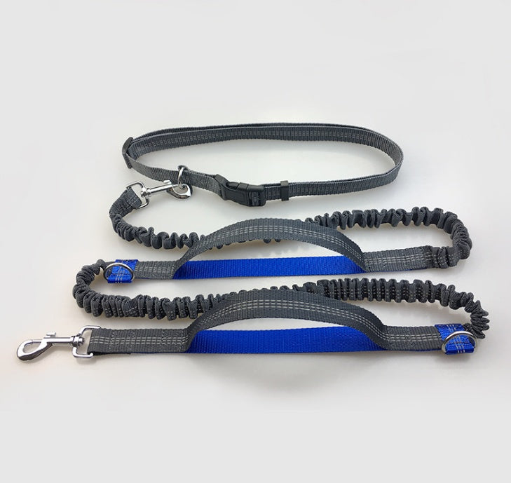 Laisse multifonction pour chien double élastique
