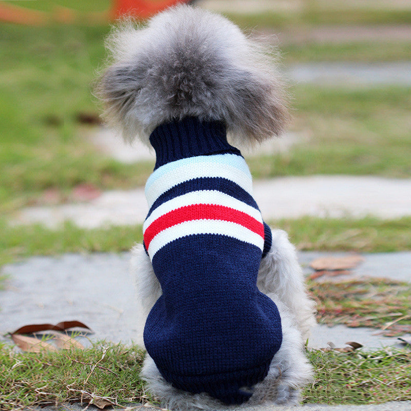 Hundebekleidung kleiner Hund