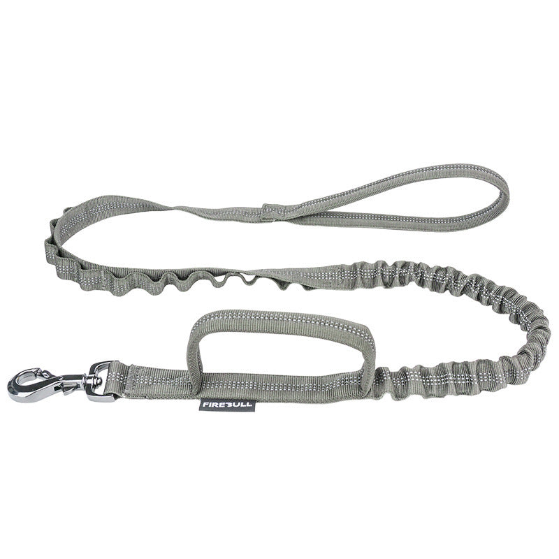 Collier tactique pour animaux de compagnie