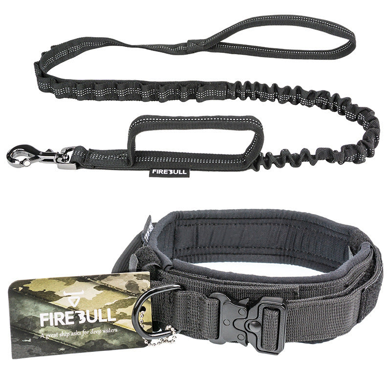 Collier tactique pour animaux de compagnie