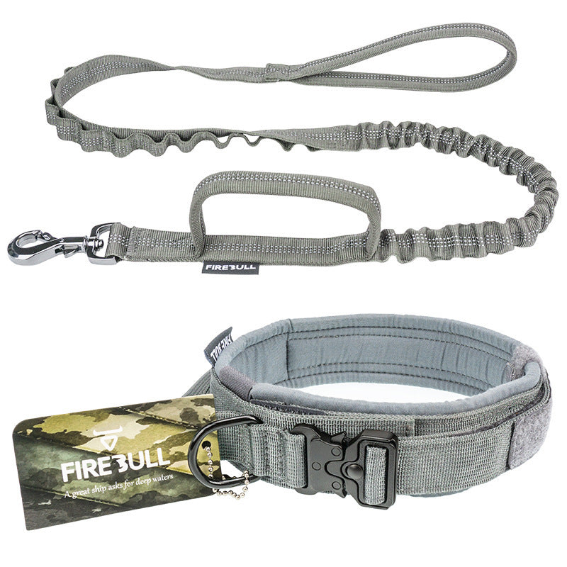 Collier tactique pour animaux de compagnie