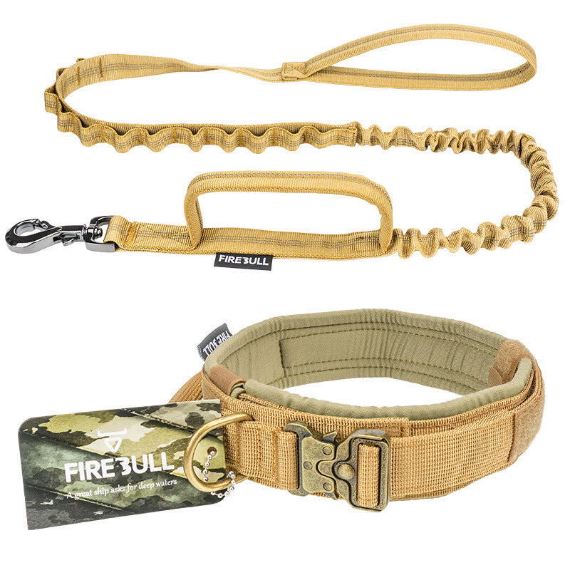 Collier tactique pour animaux de compagnie
