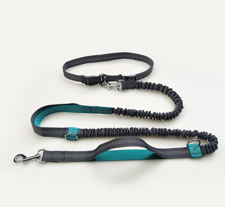 Laisse multifonction pour chien double élastique
