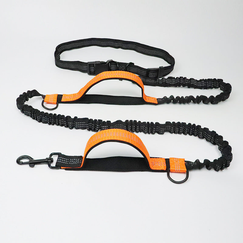 Laisse multifonction pour chien double élastique