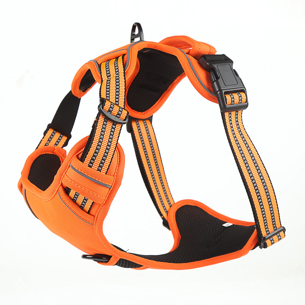 Harnais pour chien