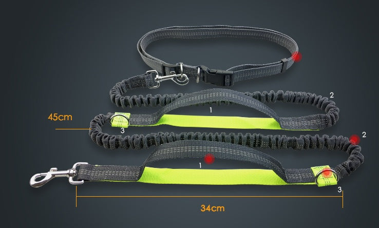 Laisse multifonction pour chien double élastique