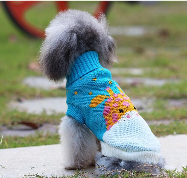 Hundebekleidung kleiner Hund