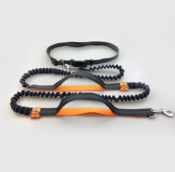 Laisse multifonction pour chien double élastique