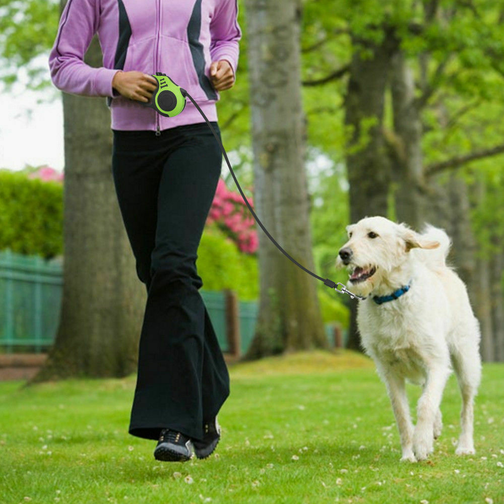 Laisse rétractable automatique pour chien