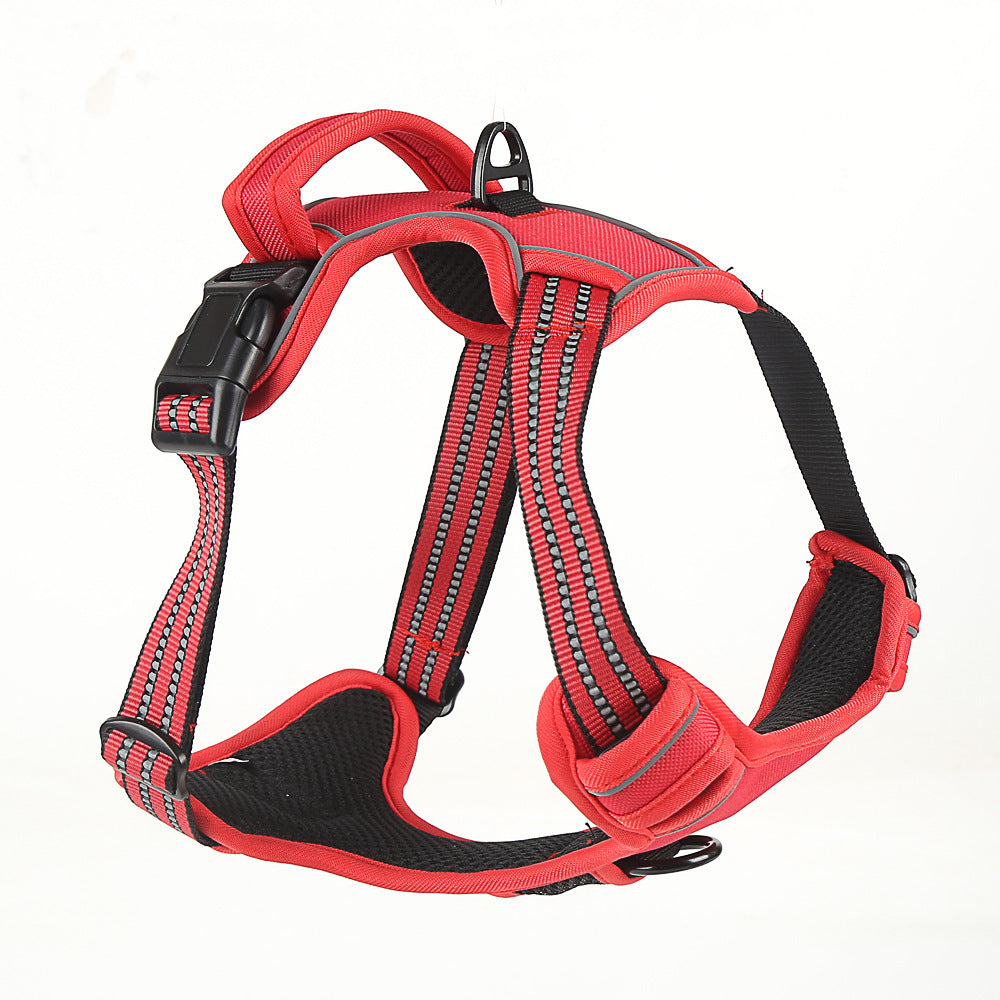 Harnais pour chien