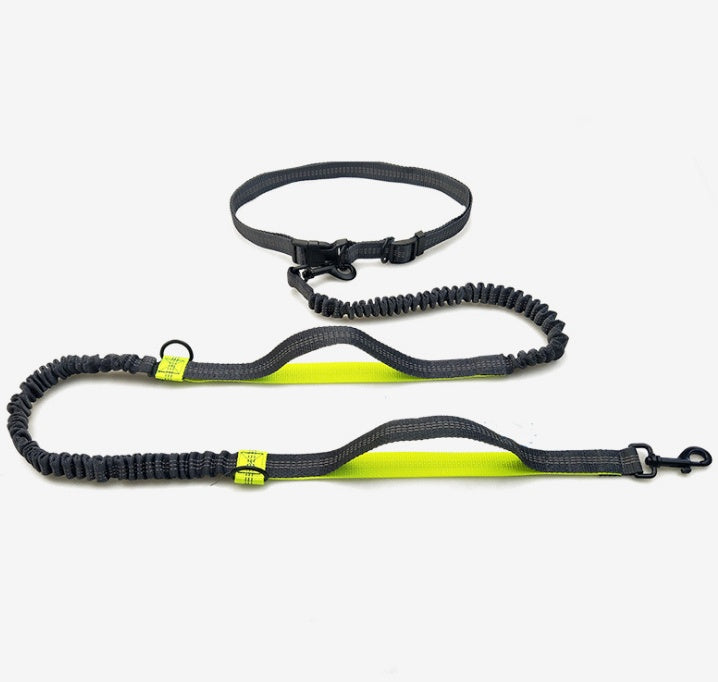 Laisse multifonction pour chien double élastique