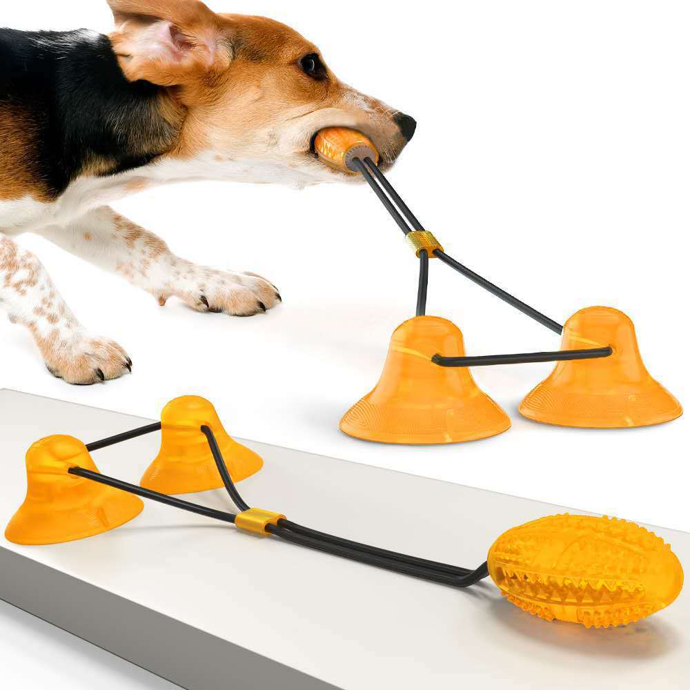 Jouets à ventouse pour animaux de compagnie