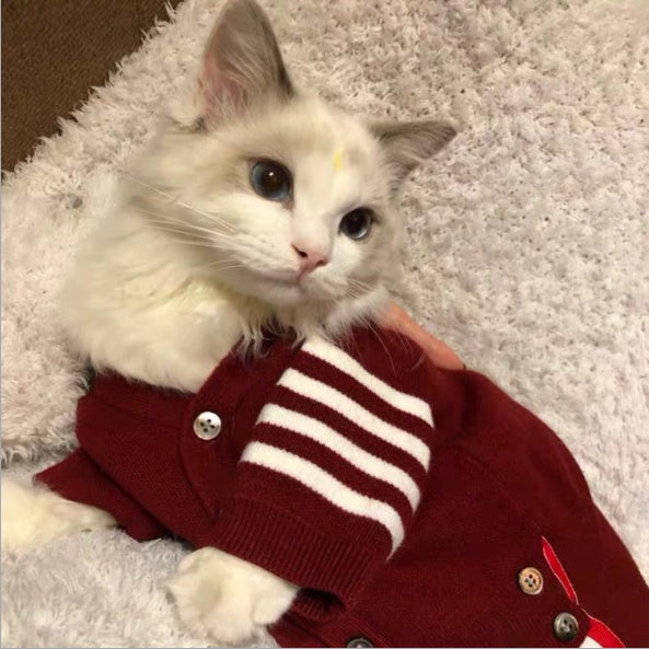Katzen-Haustierkleidung