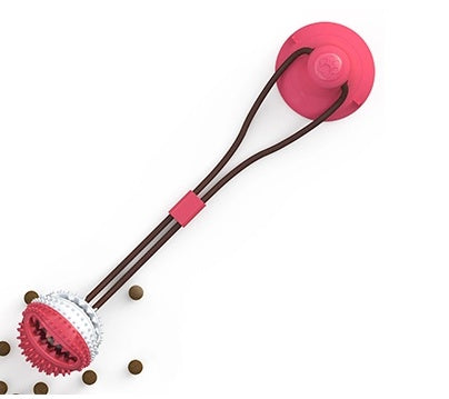 Jouets à ventouse pour animaux de compagnie