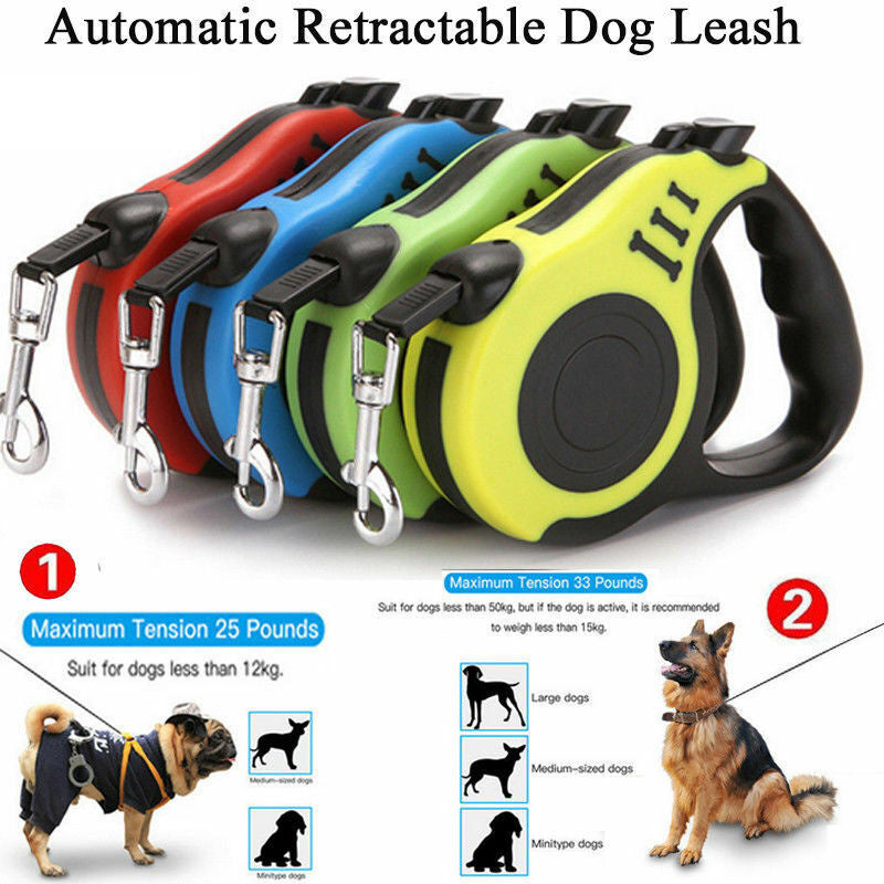 Laisse rétractable automatique pour chien