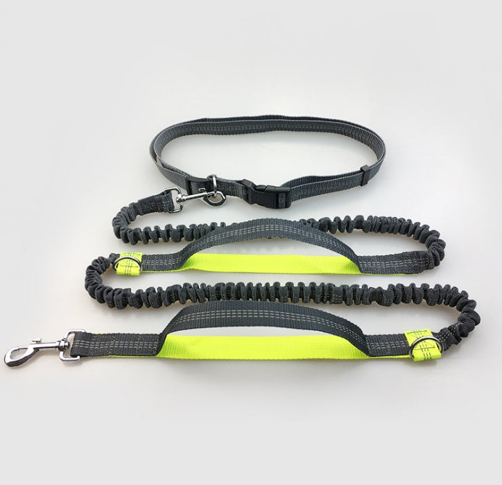 Laisse multifonction pour chien double élastique