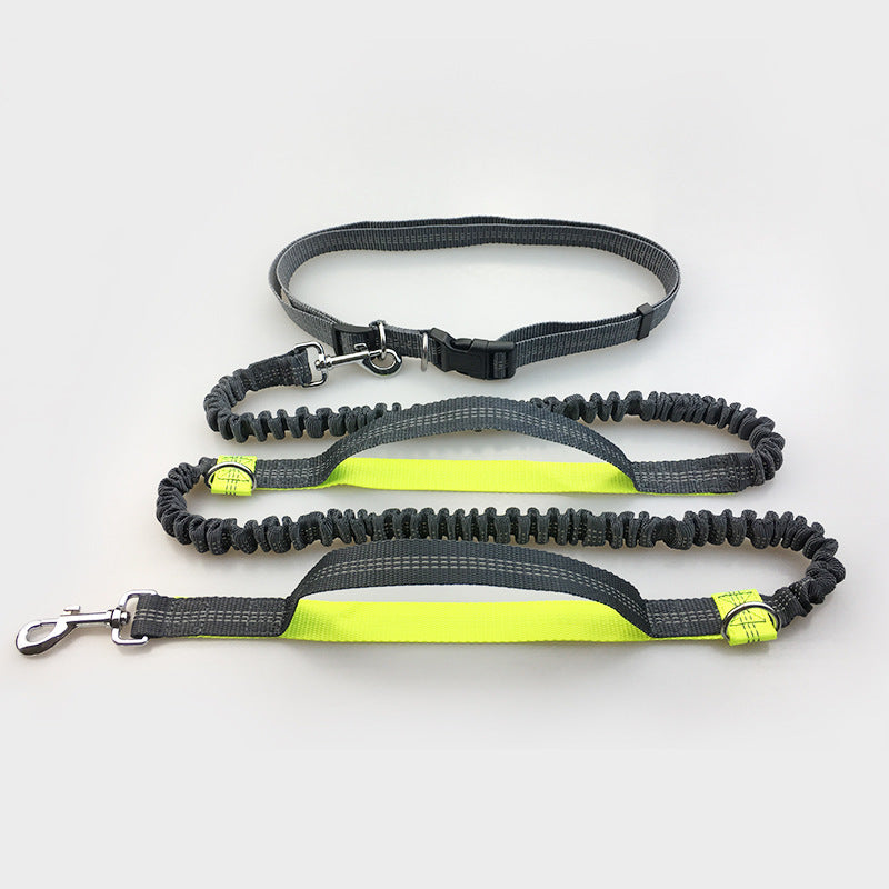 Laisse multifonction pour chien double élastique