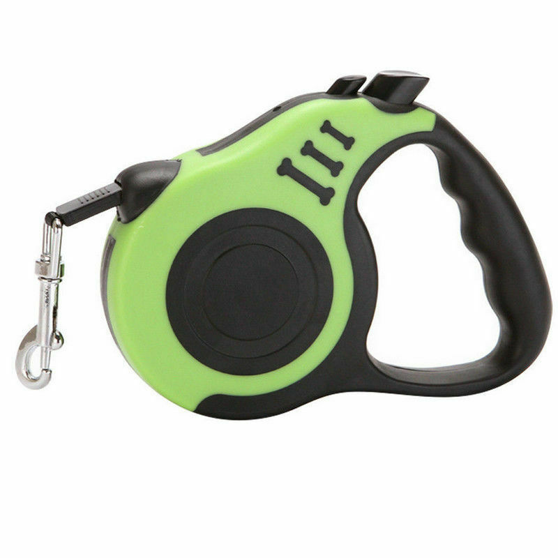 Laisse rétractable automatique pour chien