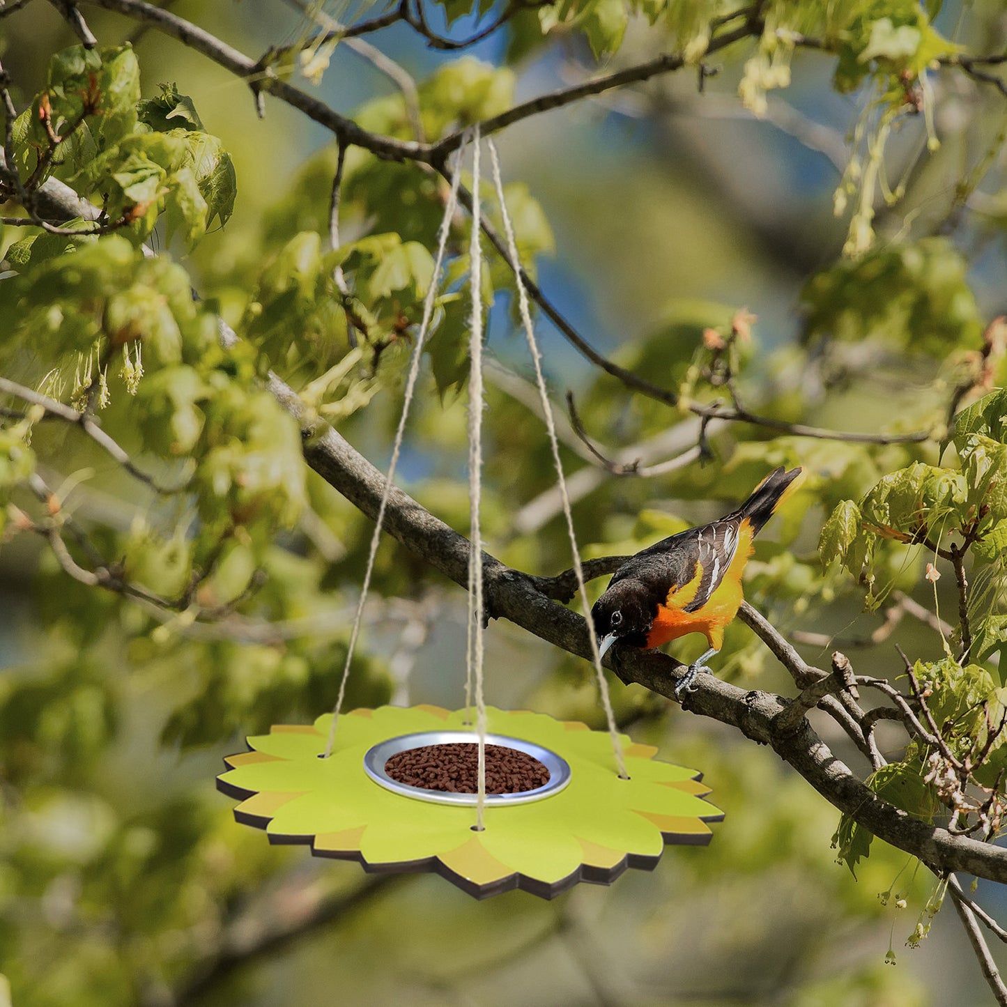 Mangeoire à oiseaux suspendue pour l'extérieur