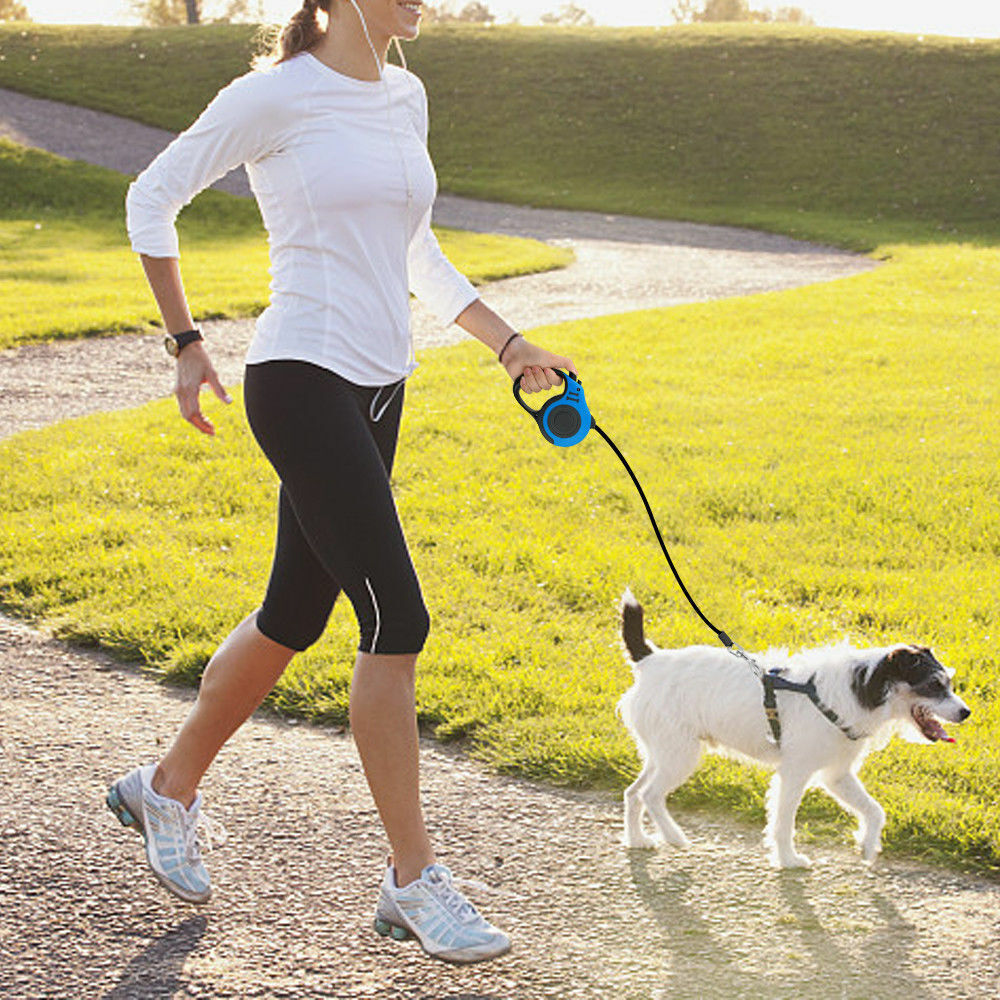 Laisse rétractable automatique pour chien
