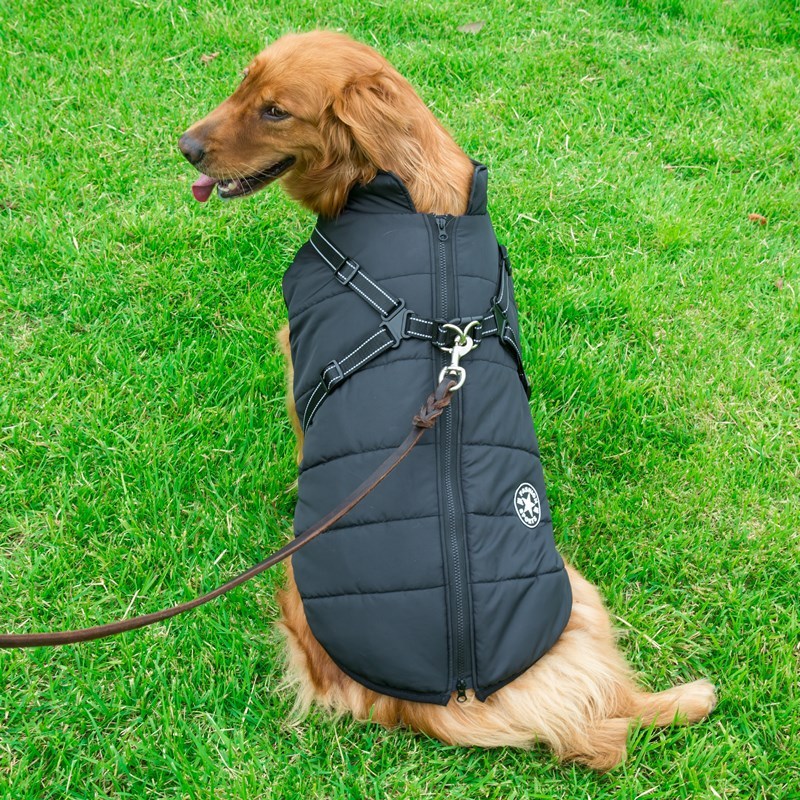 Dog Clothes Chest Back Vest Integrated