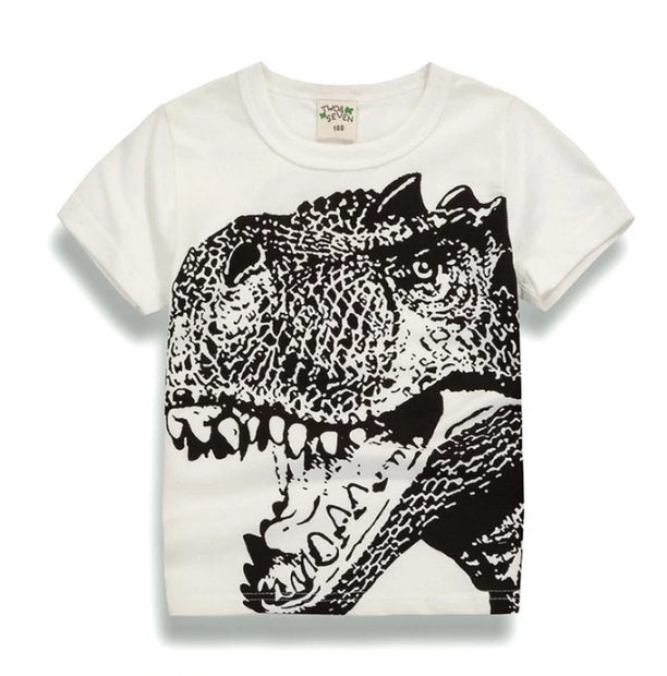 Boys Cotton T-shirt