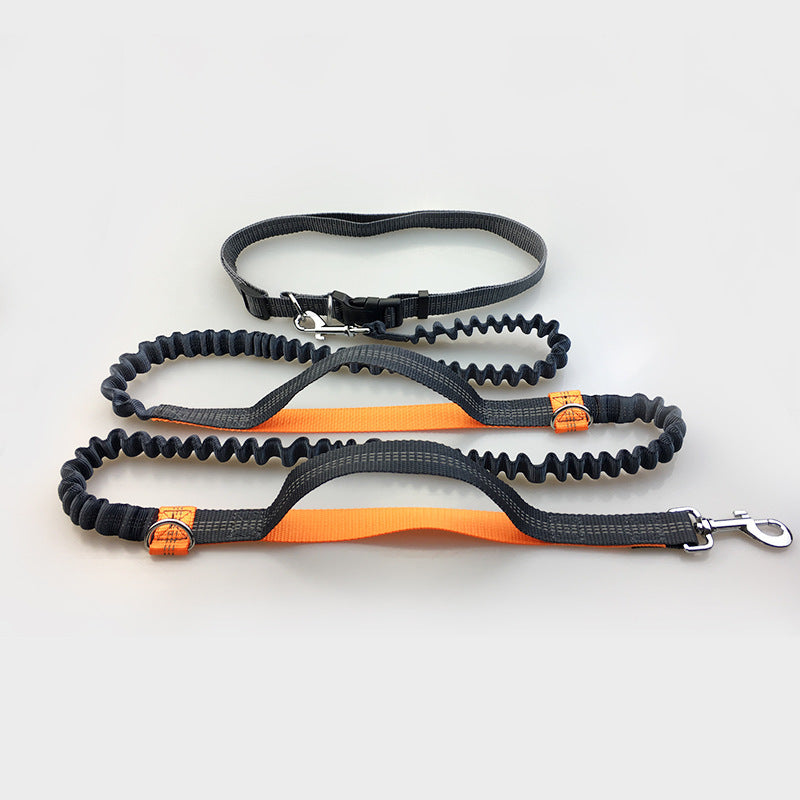 Multi-function dog leash double elastic