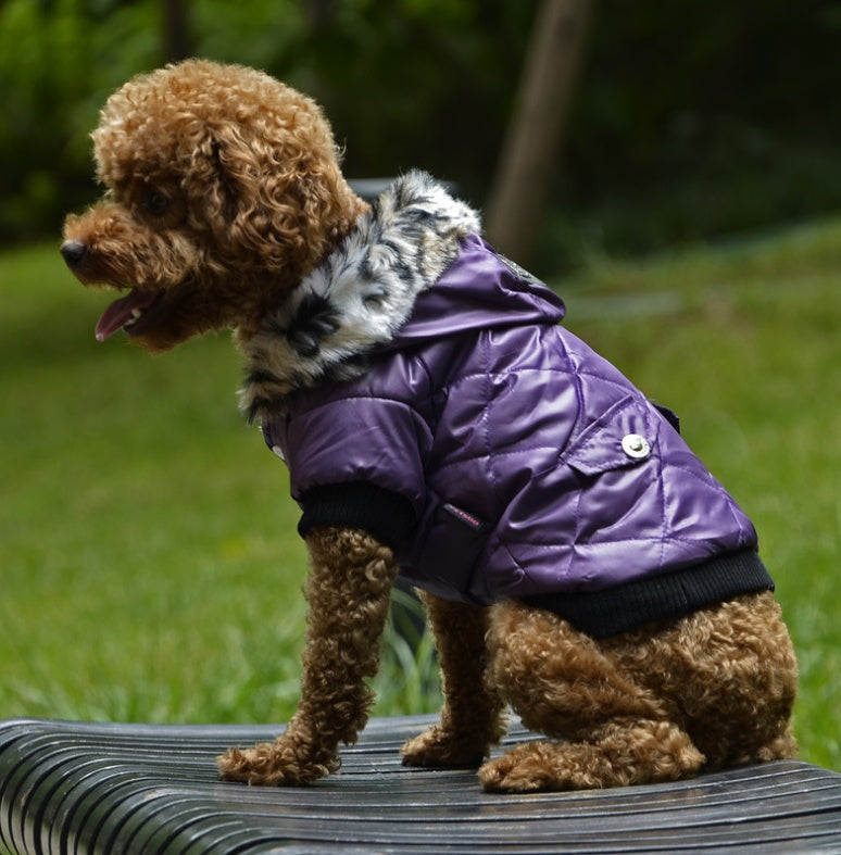 Pet dog clothing