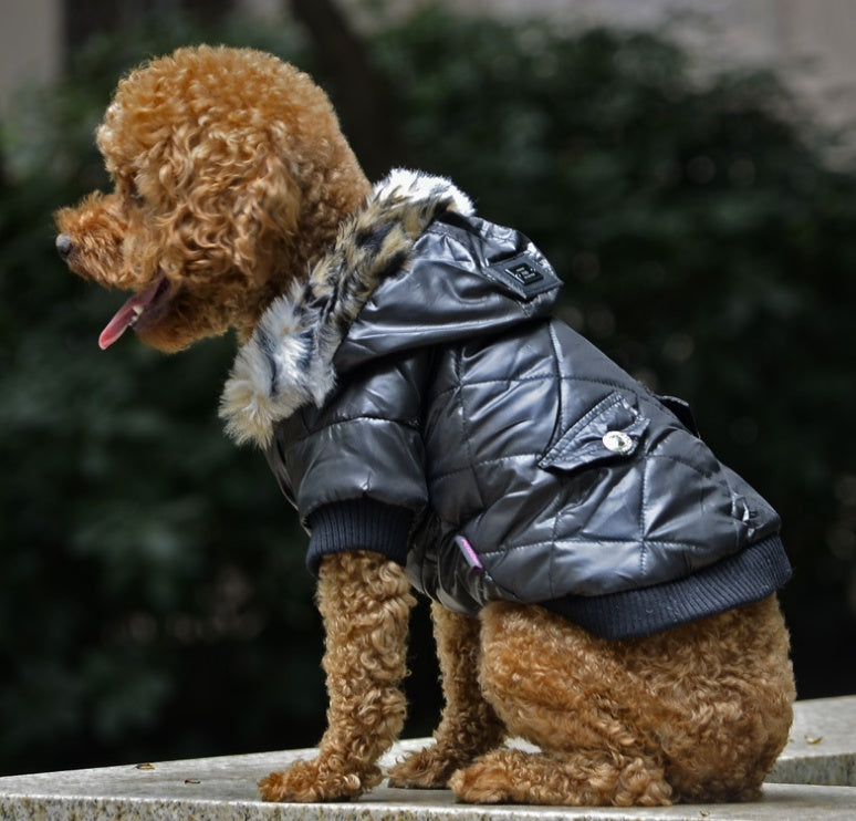 Pet dog clothing