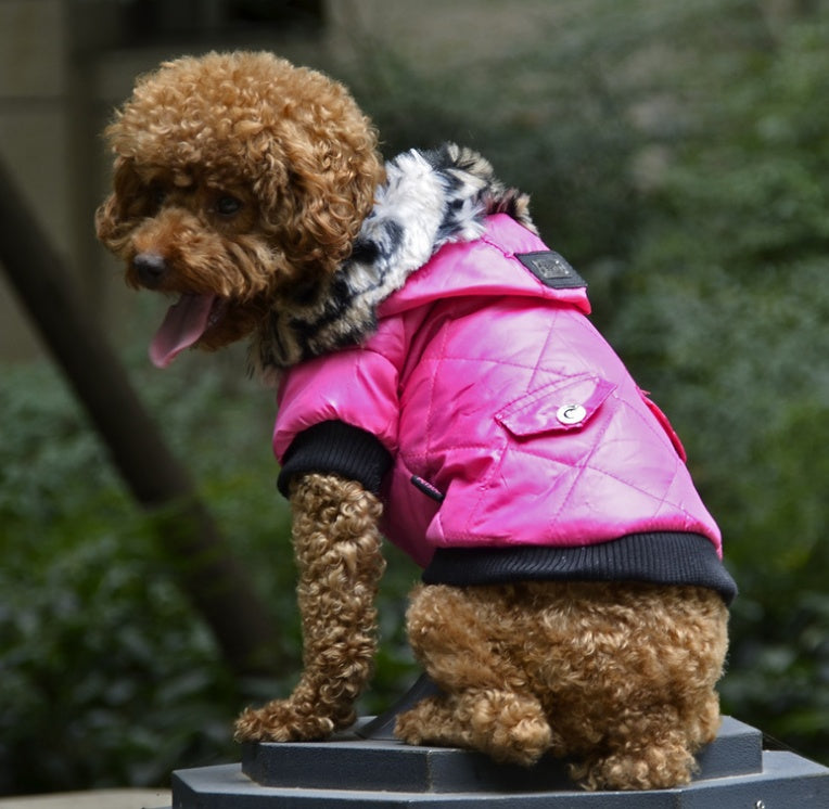 Pet dog clothing