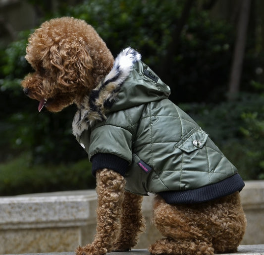 Pet dog clothing