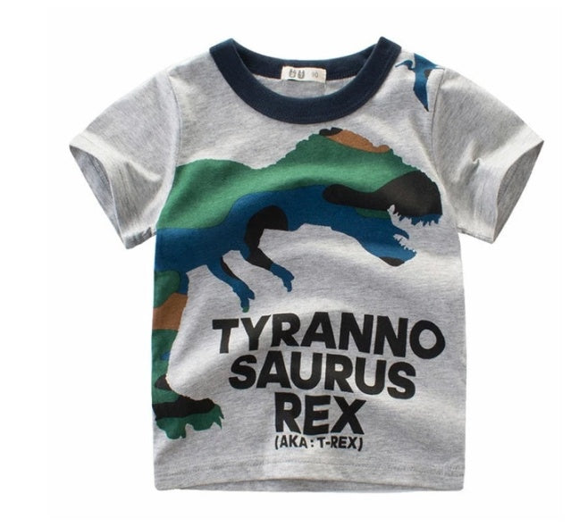 Boys Cotton T-shirt