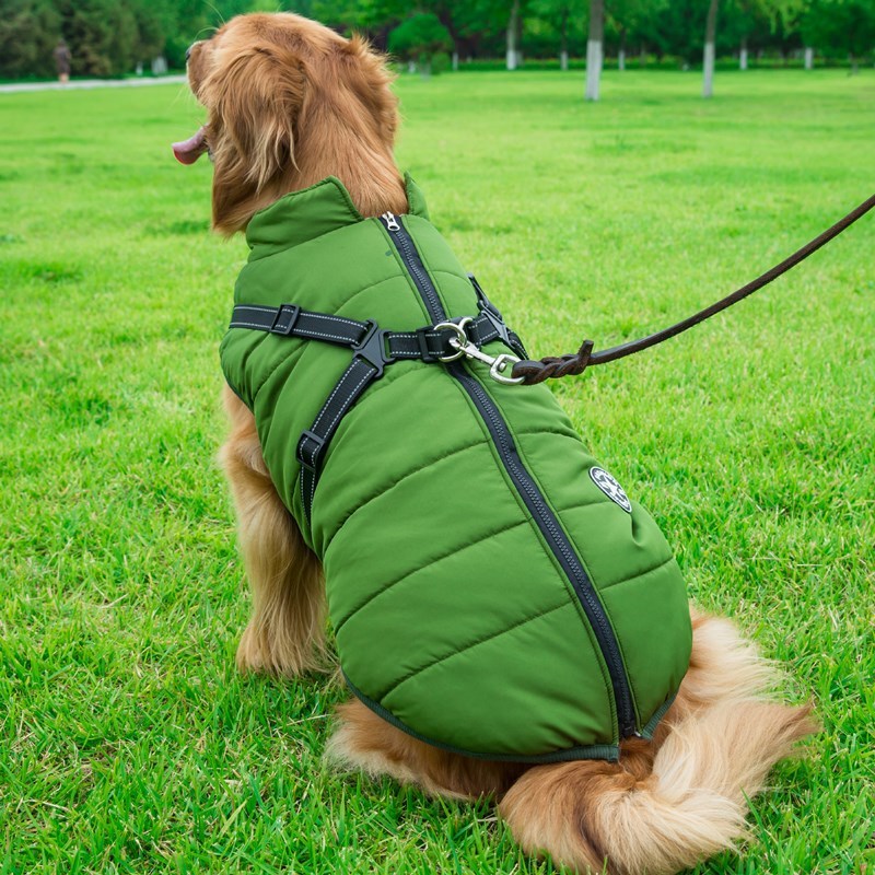 Dog Clothes Chest Back Vest Integrated