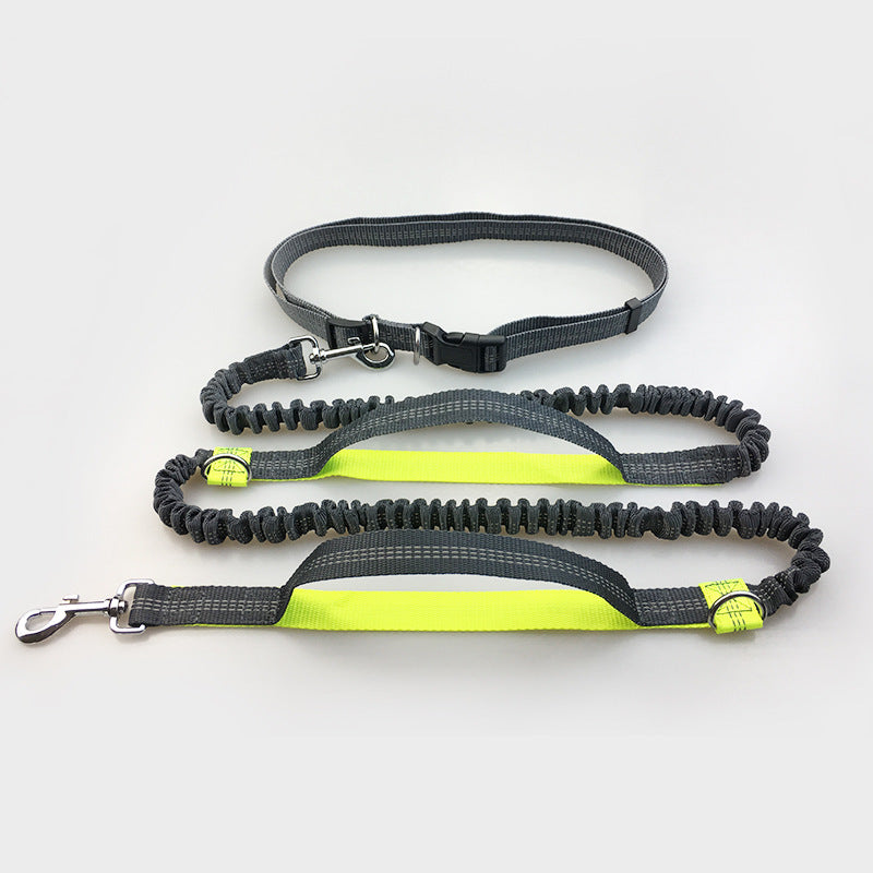 Multi-function dog leash double elastic