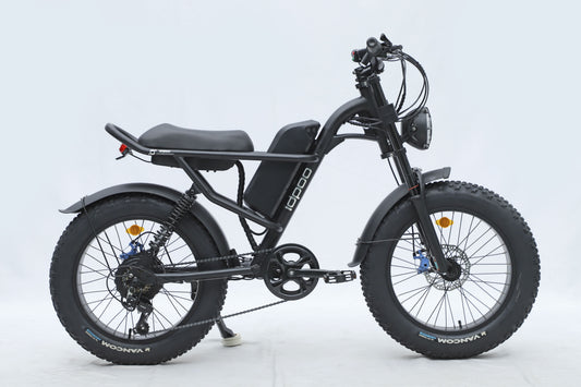 Ebike,750W Motor,48V15.6Ah Battery,20 Inches,Maximum Speed 45KM