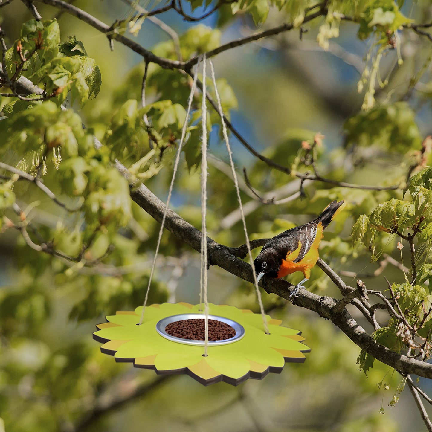 Outdoor Hanging Bird Feeder