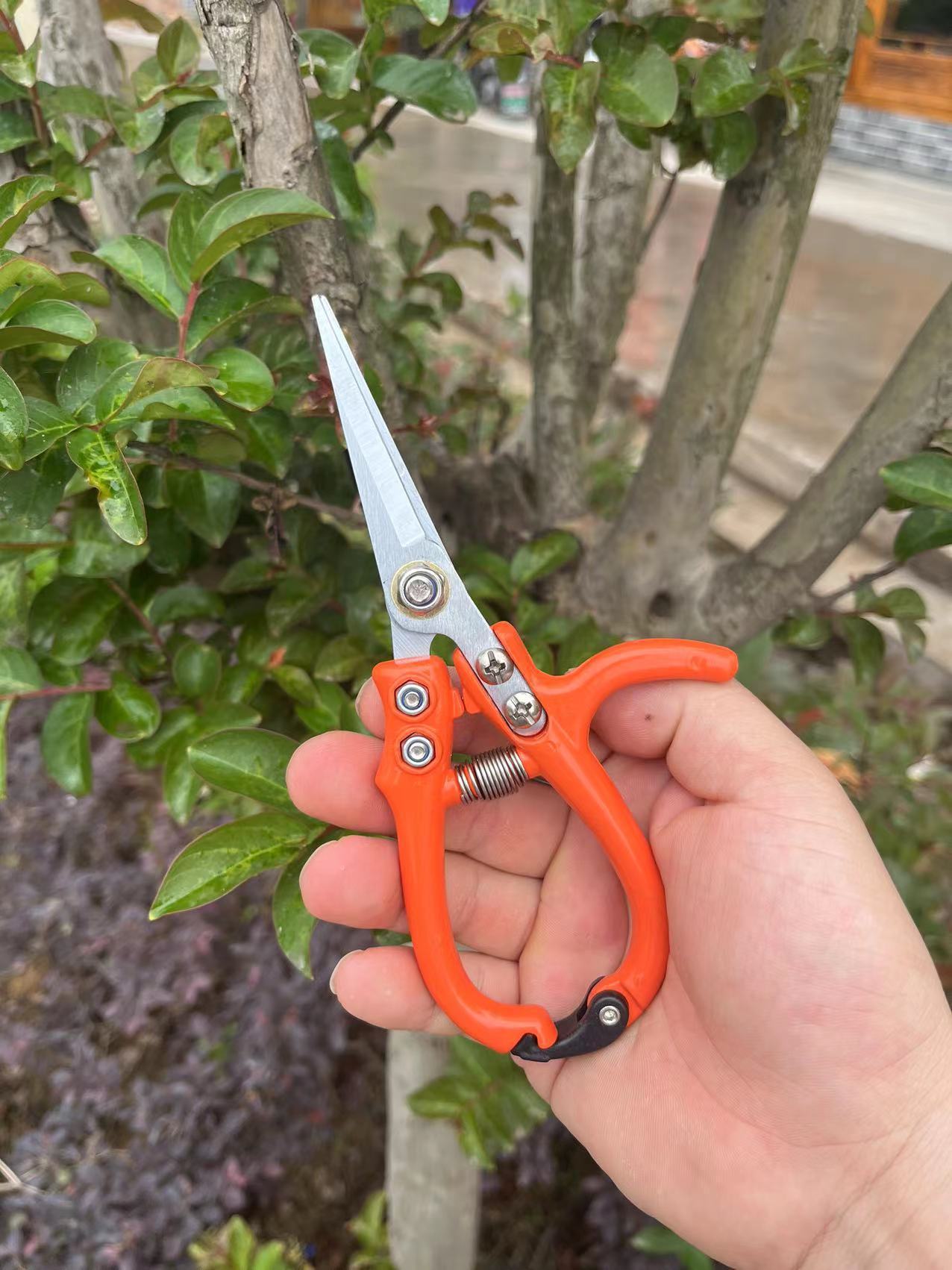 Multifunctional Garden Scissors