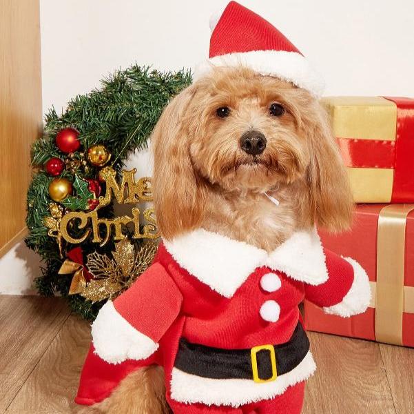 Christmas Small Dog Pet Costume